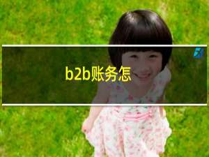 b2b账务怎