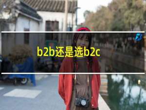 b2b还是选b2c