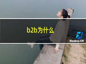 b2b为什么