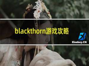 blackthorn游戏攻略