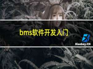 bms软件开发入门