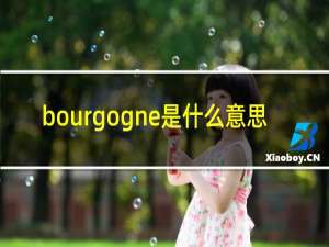 bourgogne是什么意思