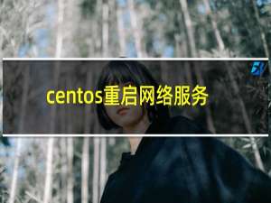 centos重启网络服务