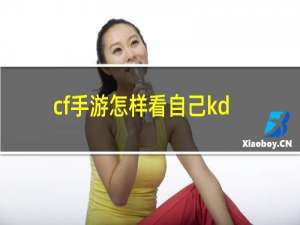 cf手游怎样看自己kd