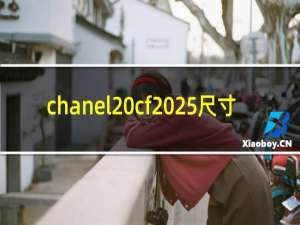 chanel cf 25尺寸