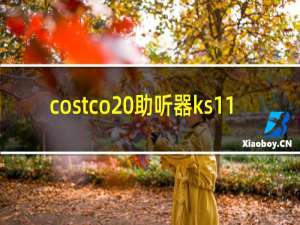 costco 助听器ks11