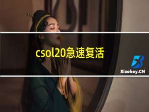 csol 急速复活