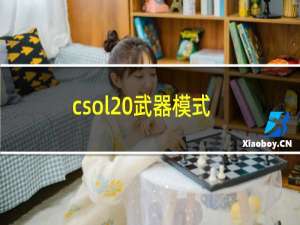 csol 武器模式