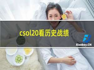 csol 看历史战绩