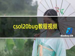 csol bug教程视频