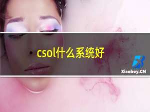 csol什么系统好