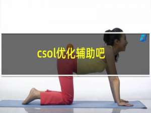 csol优化辅助吧