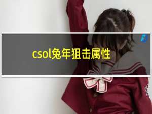 csol兔年狙击属性