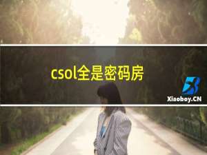 csol全是密码房