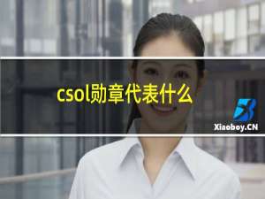 csol勋章代表什么