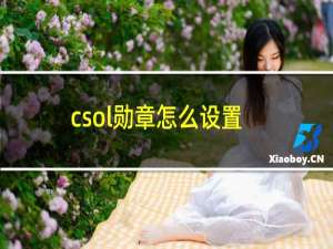 csol勋章怎么设置