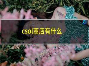 csol商店有什么