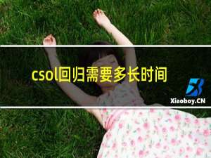 csol回归需要多长时间