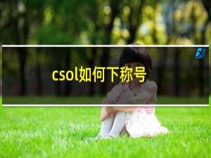 csol如何下称号