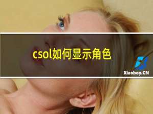 csol如何显示角色