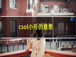 csol小号的意思