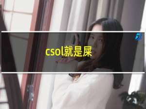 csol就是屎