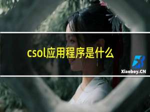 csol应用程序是什么