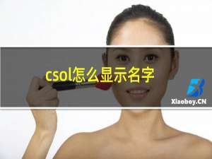 csol怎么显示名字