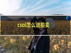 csol怎么进拍卖