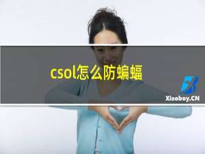 csol怎么防蝙蝠