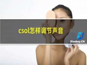 csol怎样调节声音