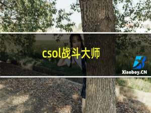 csol战斗大师