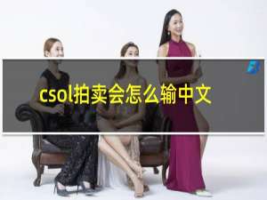 csol拍卖会怎么输中文
