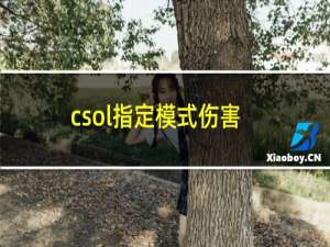 csol指定模式伤害