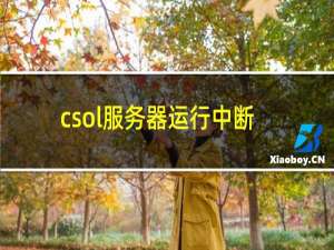 csol服务器运行中断