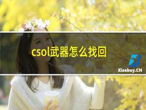 csol武器怎么找回