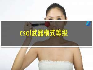 csol武器模式等级