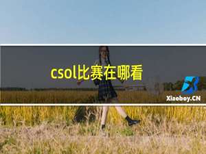 csol比赛在哪看