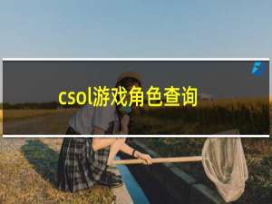 csol游戏角色查询