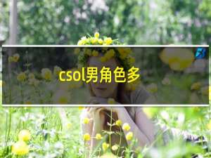 csol男角色多