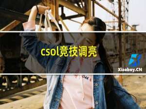 csol竞技调亮