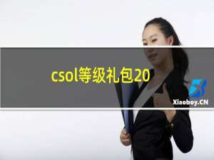 csol等级礼包20