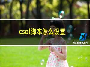 csol脚本怎么设置