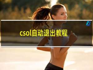 csol自动退出教程