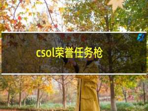 csol荣誉任务枪