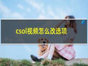 csol视频怎么改选项
