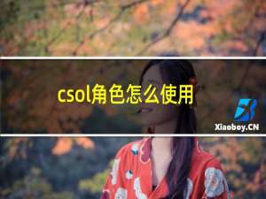 csol角色怎么使用