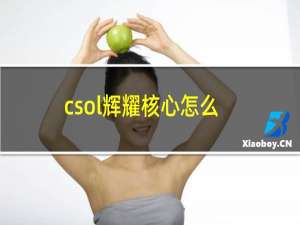 csol辉耀核心怎么