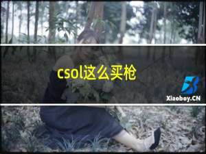 csol这么买枪