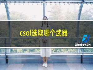 csol选取哪个武器